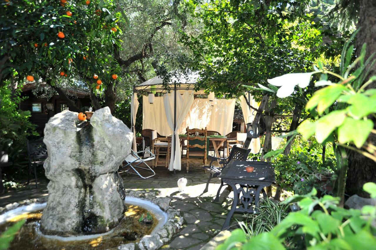 Casa Pontecorvi Bed and Breakfast Velletri Exteriör bild